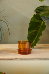 Glass with Saucer Pots By Accent Decor