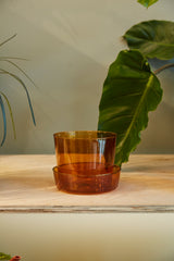 Glass with Saucer Pots By Accent Decor