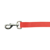 Single-Ply Nylon Dog Leash, 6'