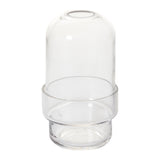 Griffith Footed Glass Terrariums By Accent Decor