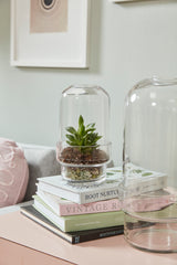 Griffith Footed Glass Terrariums By Accent Decor