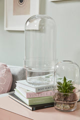 Griffith Footed Glass Terrariums By Accent Decor