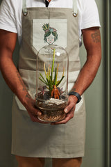 Griffith Footed Glass Terrariums By Accent Decor