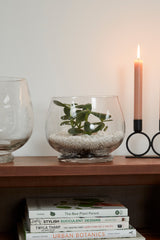 Discovery Glass Terrariums By Accent Decor