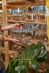 Discovery Glass Terrariums By Accent Decor