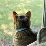 ElastaCat FlexFit Cat Collar, 2-Pack