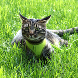 Comfort Soft Adjustable Cat Harness with 6' Leash