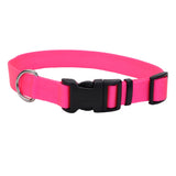 Adjustable Nylon Dog Collar with Plastic Buckle - Extra Small - 3/8" x 8"-12" / Neon Pink