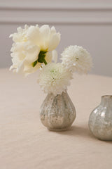 Rosella Bud Vases By Accent Decor