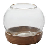 Full View Glass Terrarium By Accent Decor