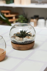 Full View Glass Terrarium By Accent Decor
