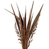 Vickerman 36-40" Bahia Spears with Seeds, Dried, 18 Pack