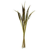 Vickerman 36-40" Bahia Spears with Seeds, Dried, 9 Pack, Basil