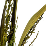 Vickerman 36-40" Bahia Spears with Seeds, Dried, 9 Pack