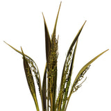 Vickerman 36-40" Bahia Spears with Seeds, Dried, 9 Pack