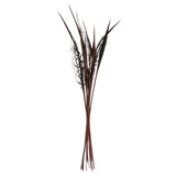 Vickerman 36-40" Bahia Spears with Seeds, Dried, 9 Pack, Dark Brown