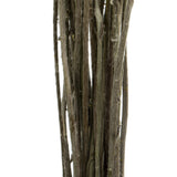 Vickerman 16-18" Yellow Billy Buttons Bundle, Dried