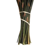 Vickerman 15-20" Natural Bell Grass, Preserved
