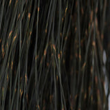 Vickerman 15-20" Natural Bell Grass, Preserved