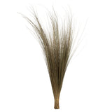 Vickerman 35"-40" Bright Grass Bundle, Dried, 35-40"