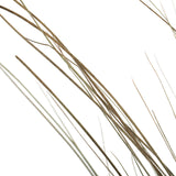 Vickerman 35"-40" Bright Grass Bundle, Dried