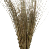 Vickerman 35"-40" Bright Grass Bundle, Dried