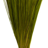 Vickerman Bright Grass, Dried