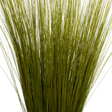 Vickerman Bright Grass, Dried