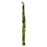 Vickerman 45-48" Basil Curled Coco Velvet Stems, Dried, 45 - 48"