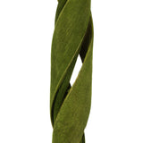 Vickerman 45-48" Basil Curled Coco Velvet Stems, Dried