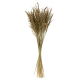 Vickerman 36-40" Congo Grass Bundle, Dried, Natural