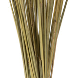 Vickerman 36-40" Congo Grass Bundle, Dried