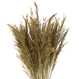 Vickerman 36-40" Congo Grass Bundle, Dried