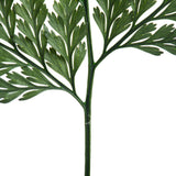 Vickerman 6-10" Green Davallia Fern, Preserved