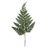 Vickerman 6-10" Green Davallia Fern, Preserved