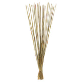 Vickerman 40-42" Elephant Reed Bundle, Dried, Natural