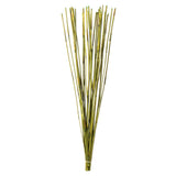 Vickerman 40-42" Elephant Reed Bundle, Dried, Basil