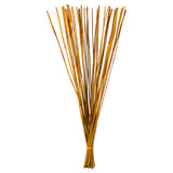 Vickerman 40-42" Elephant Reed Bundle, Dried, Aspen Gold