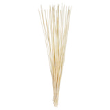 Vickerman 40-42" Elephant Reed Bundle, Dried, Bleached