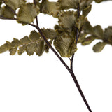 Vickerman 6-10" Green Felci Fern, Preserved