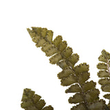 Vickerman 6-10" Green Felci Fern, Preserved