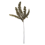 Vickerman 6-10" Green Felci Fern, Preserved