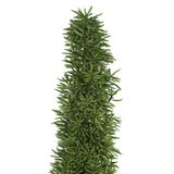 Vickerman 8-10" Green Foxtail Fern Bunch Preserved