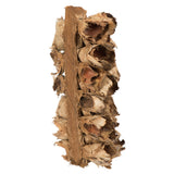 Vickerman Giant Seed Pod Segment, Dried