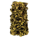 Vickerman Giant Seed Pod Segment, Dried, Basil