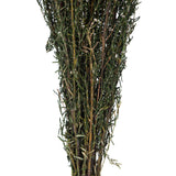 Vickerman 22"-26" Grabia Bundle, Preserved
