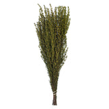 Vickerman 22"-26" Grabia Bundle, Preserved, Yellow