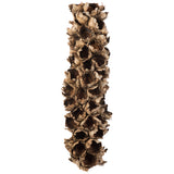 Vickerman Natural Giant Seed Pod Segment, Dried, 26-28", Natural