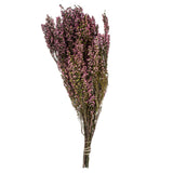 Vickerman 18-20" Heather Bundle, Preserved, Pink