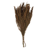Vickerman 18-20" Heather Bundle, Preserved, Brown
